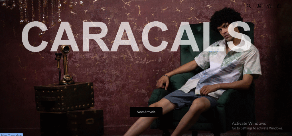 shopify developer in alwar