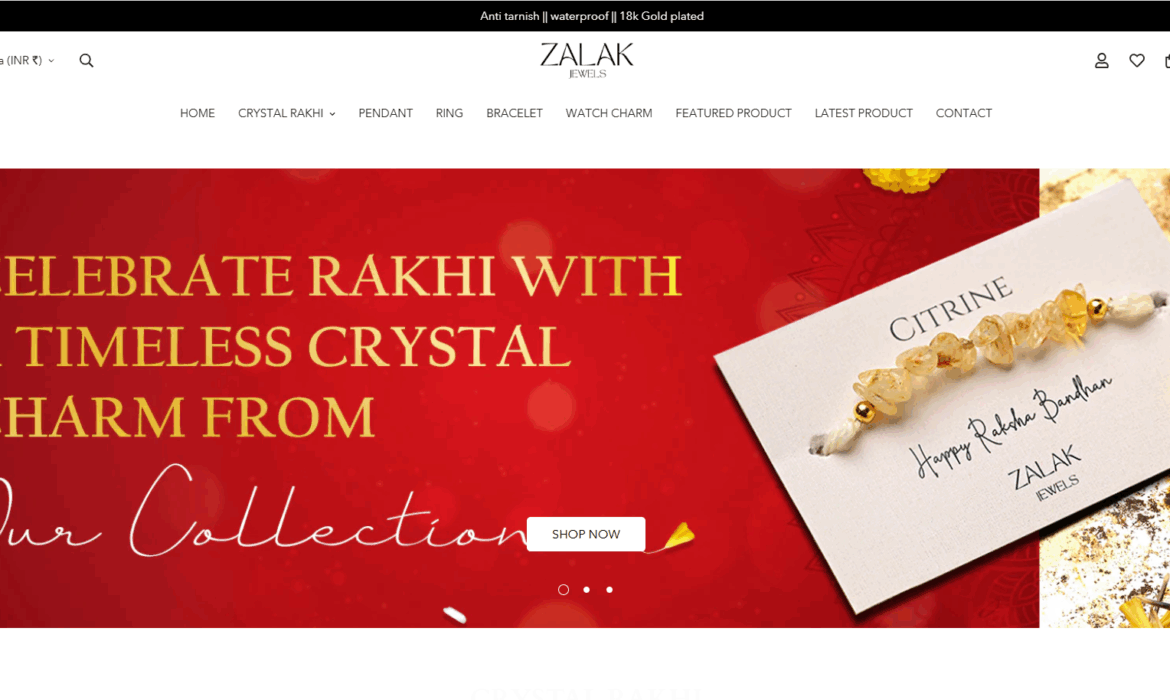 shopify developer in dausa